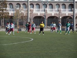 DSCF8017_400.jpg