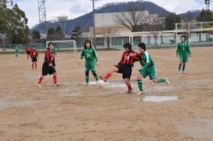 DSC_7757_400.jpg