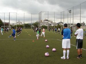 P8100004_400.jpg