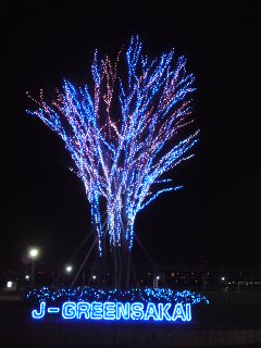 111212_1745~01.jpg